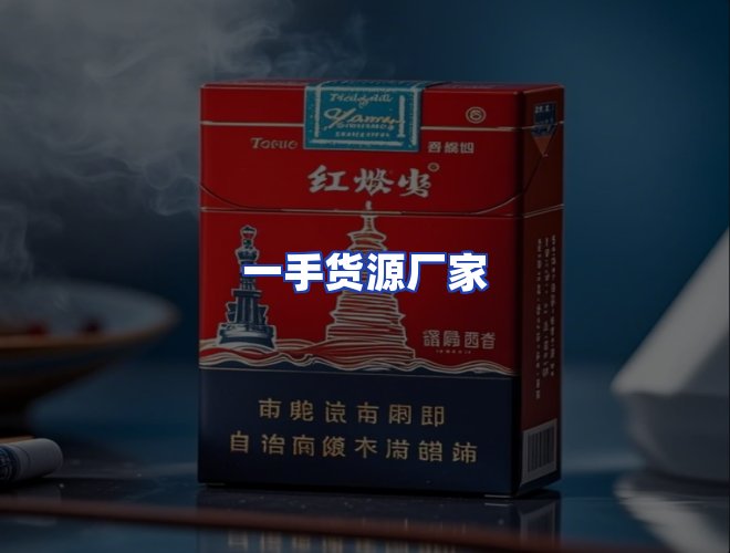 专业团队